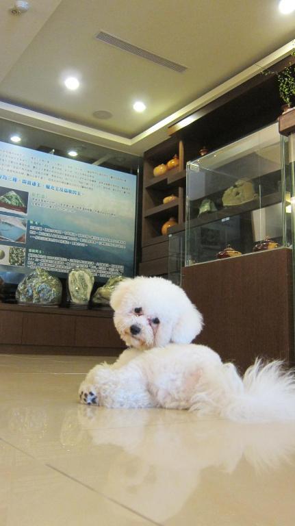 客至軒一館 Hualien Extérieur photo